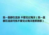 我一直都在流浪 不曾見過海洋（我一直都在流浪可我不曾見過海洋是那首歌）