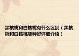 黑核桃和白核桃有什么區(qū)別（黑核桃和白核桃哪種好詳細(xì)介紹）