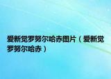 愛(ài)新覺(jué)羅努爾哈赤圖片（愛(ài)新覺(jué)羅努爾哈赤）