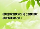 螞蟻搬家重慶分公司（重慶螞蟻族搬家有限公司）