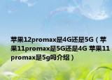 蘋(píng)果12promax是4G還是5G（蘋(píng)果11promax是5G還是4G 蘋(píng)果11promax是5g嗎介紹）