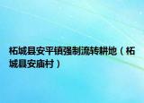 柘城縣安平鎮(zhèn)強制流轉(zhuǎn)耕地（柘城縣安廟村）