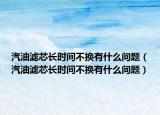 汽油濾芯長(zhǎng)時(shí)間不換有什么問題（汽油濾芯長(zhǎng)時(shí)間不換有什么問題）