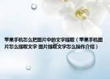蘋果手機怎么把圖片中的文字提?。ㄌO果手機圖片怎么提取文字 圖片提取文字怎么操作介紹）