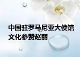 中國(guó)駐羅馬尼亞大使館文化參贊趙麗