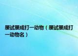 屢試屢成打一動物（屢試屢成打一動物名）