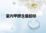 室內甲醛含量超標