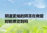 陰道緊縮的陰莖在做愛(ài)時(shí)能感覺(jué)到嗎
