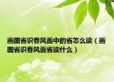 畫圖省識春風面中的省怎么讀（畫圖省識春風面省讀什么）