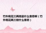 竹外桃花三兩枝是什么意思啊（竹外桃花兩三枝什么意思）