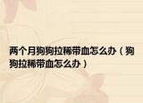 兩個月狗狗拉稀帶血怎么辦（狗狗拉稀帶血怎么辦）