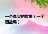一個(gè)真實(shí)的故事（一個(gè)曬鹽場）