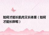 如何才能長(zhǎng)肌肉又長(zhǎng)體重（如何才能長(zhǎng)胖呢）