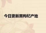 今日更新黑枸杞產(chǎn)地