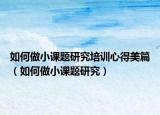 如何做小課題研究培訓心得美篇（如何做小課題研究）