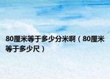 80厘米等于多少分米?。?0厘米等于多少尺）
