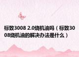 標致3008 2.0燒機油嗎（標致3008燒機油的解決辦法是什么）