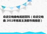 命運交響曲電視劇百科（命運交響曲 2011年楊冪主演都市偶像劇）