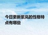 今日更新紫嵐的性格特點有哪些