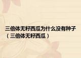 三倍體無籽西瓜為什么沒有種子（三倍體無籽西瓜）