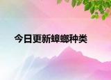 今日更新蟑螂種類
