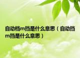 自動(dòng)檔m擋是什么意思（自動(dòng)擋m擋是什么意思）