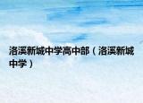 洛溪新城中學(xué)高中部（洛溪新城中學(xué)）
