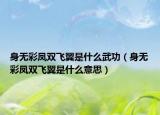 身無(wú)彩鳳雙飛翼是什么武功（身無(wú)彩鳳雙飛翼是什么意思）