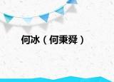 何冰（何秉舜）