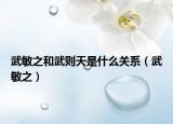 武敏之和武則天是什么關(guān)系（武敏之）