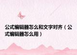 公式編輯器怎么和文字對齊（公式編輯器怎么用）