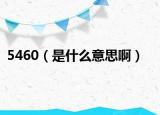 5460（是什么意思?。? /></span></a>
                        <h2><a href=