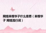 網(wǎng)絡(luò)來(lái)根華子什么意思（來(lái)根華子 網(wǎng)絡(luò)流行詞）