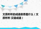 文質(zhì)彬彬的成語(yǔ)意思是什么（文質(zhì)彬彬 漢語(yǔ)成語(yǔ)）