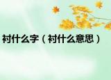 襯什么字（襯什么意思）