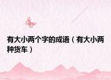 有大小兩個字的成語（有大小兩種貨車）