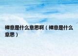 禪意是什么意思?。ǘU意是什么意思）