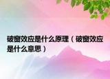 破窗效應是什么原理（破窗效應是什么意思）