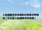 人粒細(xì)胞無(wú)形體病的診斷要點(diǎn)有哪些（什么是人粒細(xì)胞無(wú)形體?。? /></span></a>
                        <h2><a href=
