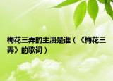 梅花三弄的主演是誰（《梅花三弄》的歌詞）