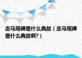 走馬觀(guān)碑是什么典故（走馬觀(guān)碑是什么典故啊?）