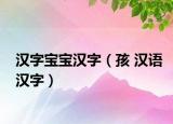 漢字寶寶漢字（孩 漢語(yǔ)漢字）