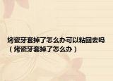 烤瓷牙套掉了怎么辦可以粘回去嗎（烤瓷牙套掉了怎么辦）