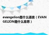 evangelion是什么語言（EVANGELION是什么意思）