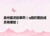 泉州最靈的草藥（q組織里的成員有哪些）