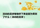 滾動的足球慢慢停下來是因為受到了什么（滾動的足球）