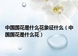 中國國花是什么花象征什么（中國國花是什么花）