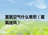 富氧空氣什么意思（富氧送風）