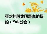 亞歐控股集團是真的假的（Yok公會）