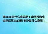 爆seed是什么意思?。▌?dòng)畫(huà)片和小說(shuō)里經(jīng)常說(shuō)的爆SEED是什么意思）